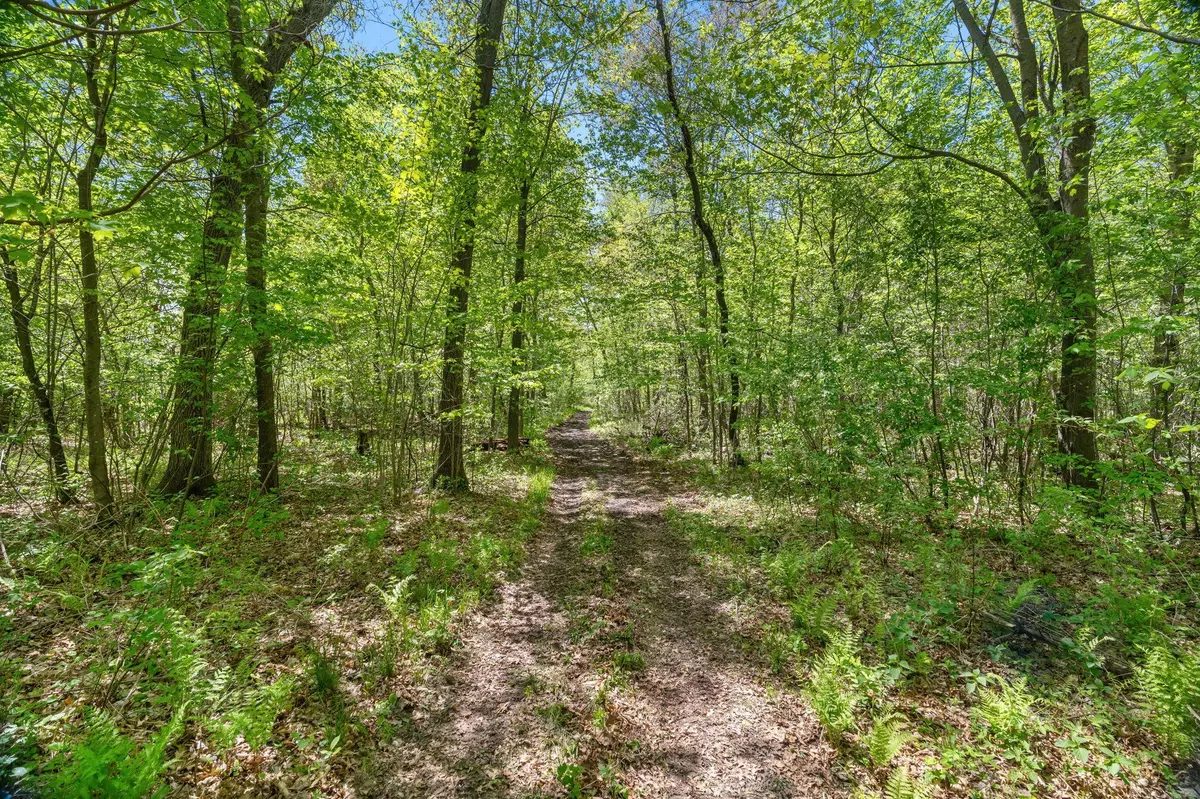 Sunrise Twp, MN 55032,76xx 470th Street