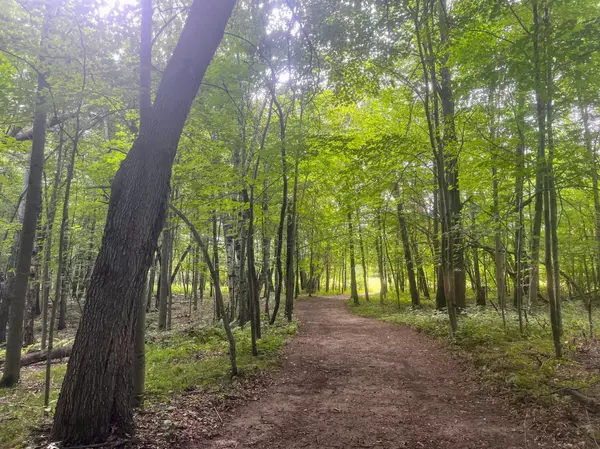 Harris, MN 55032,76xx 470th Street