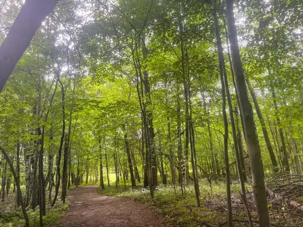 Harris, MN 55032,76xx 470th Street