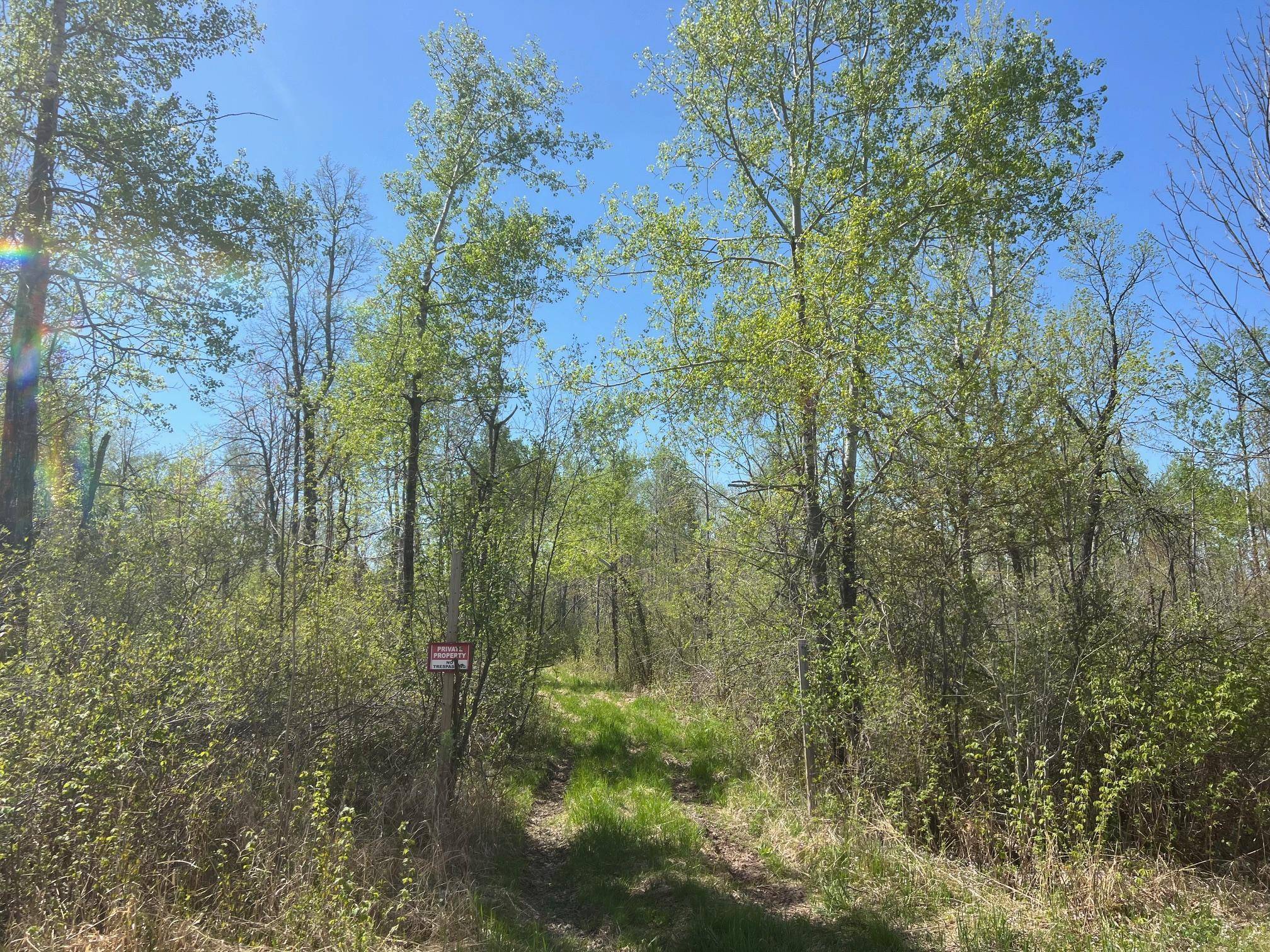 Dairyland Twp, WI 54830,TBD Engine Hill RD