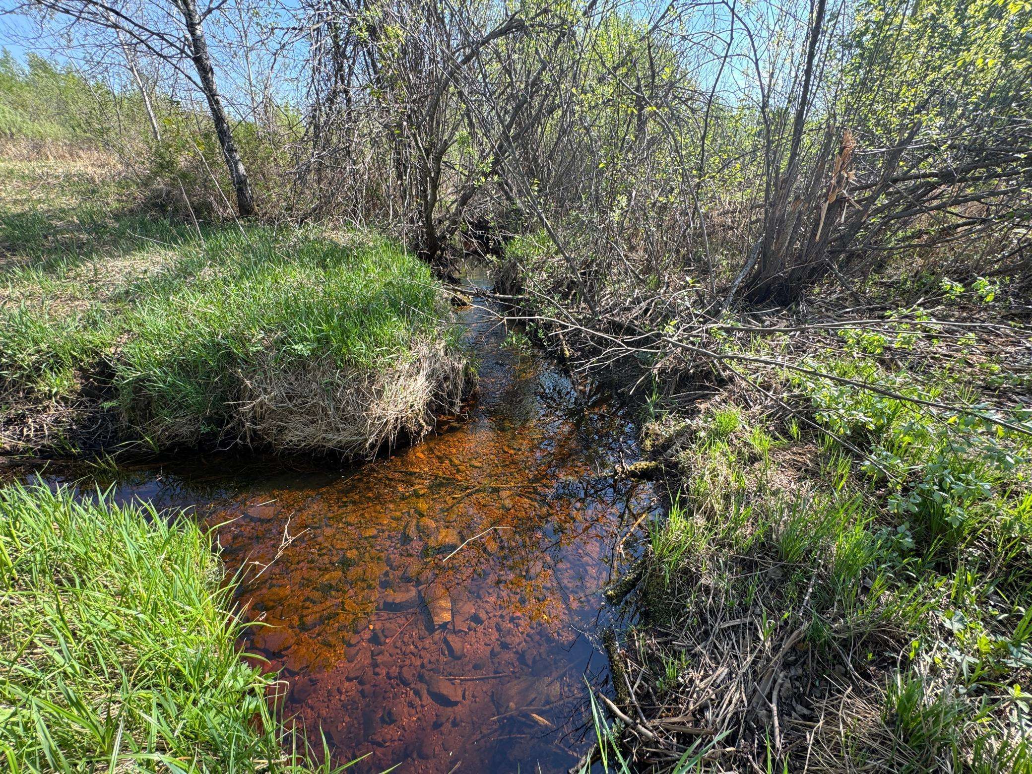 TBD Skog RD, Kettle River, MN 55757