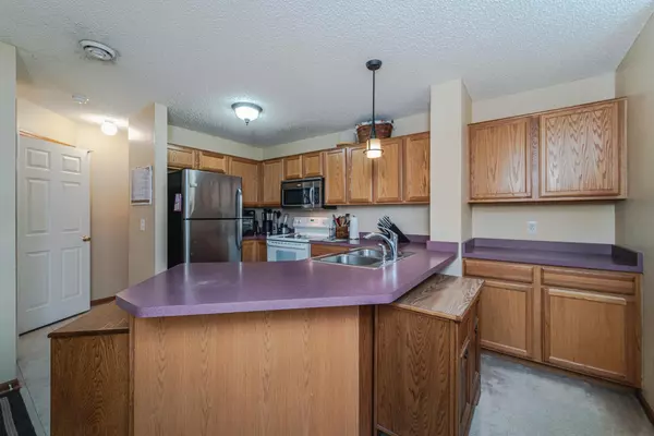 Prior Lake, MN 55372,17366 River Birch LN