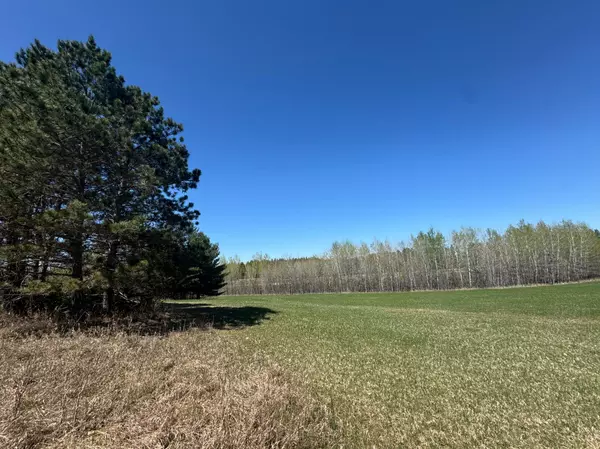 Akeley, MN 56433,24282 315th AVE