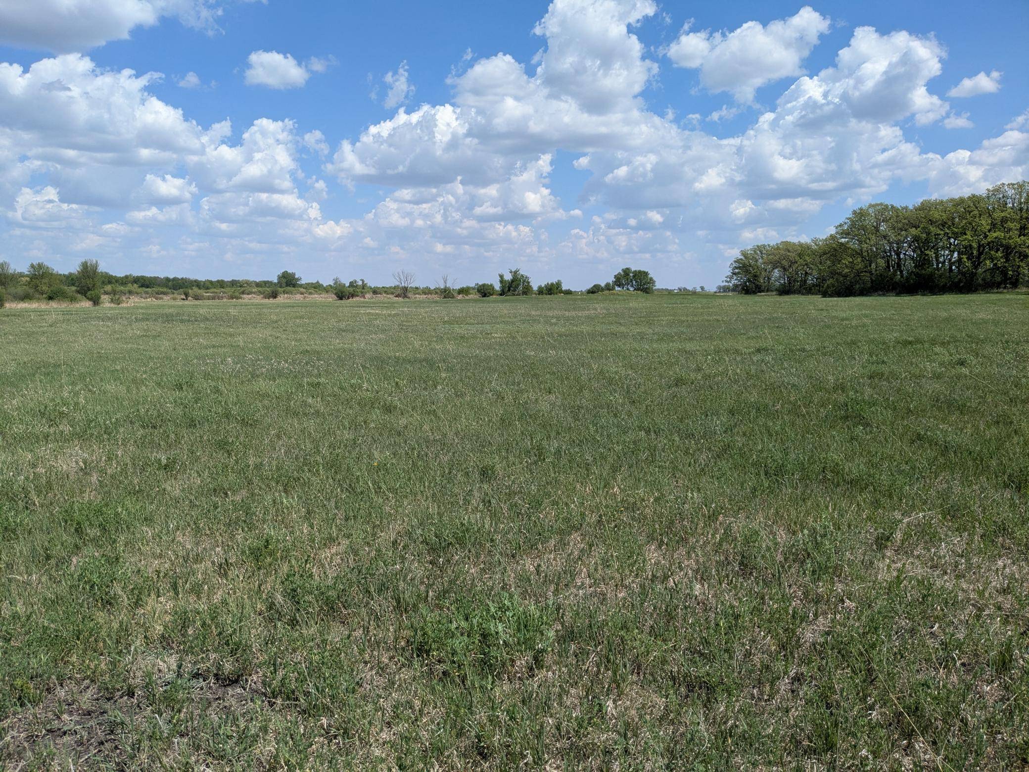 Crow Lake Twp, MN 56316,46068 Glendale RD