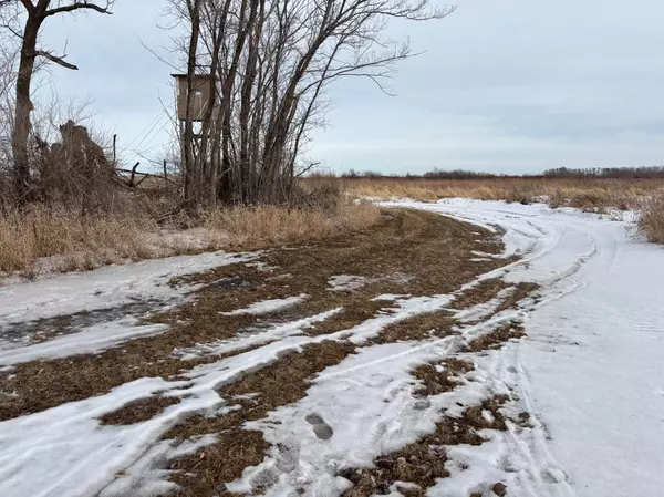 Marsh Creek Twp, MN 56557,TBD Hwy 59