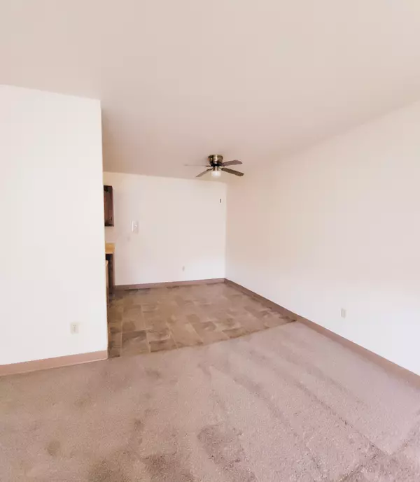 Blue Earth, MN 56013,528 N Grant ST #307