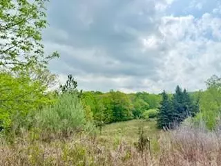 River Falls, WI 54022,102.77 Acres 805th ST