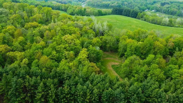 Preston Twp, WI 54616,0 Blom RD