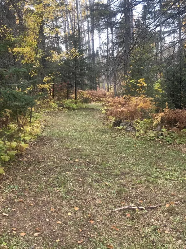 Grand Marais, MN 55604,21 Brandon LN