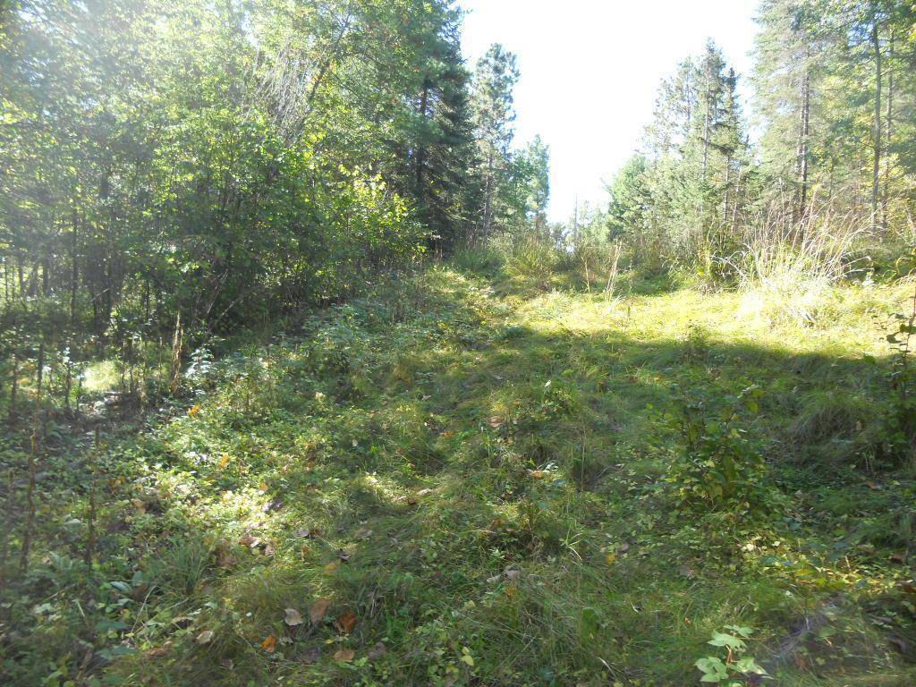 Backus, MN 56435,TBD County 118 RD NW