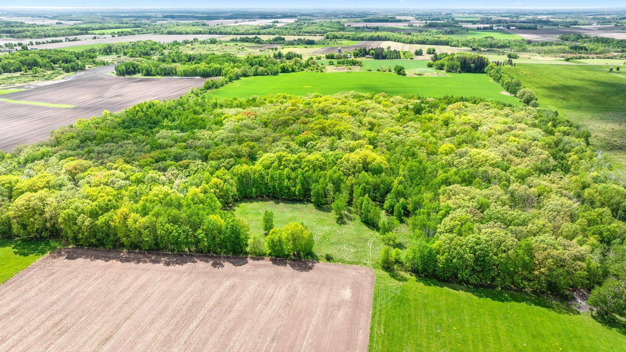Alberta Twp, MN 56367,15920 75th AVE NE