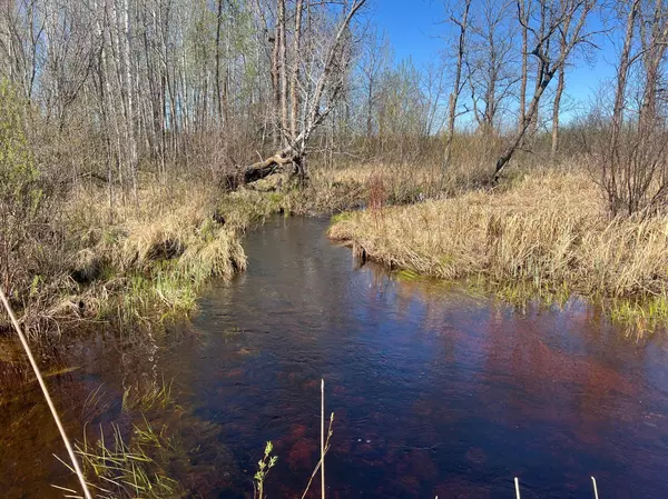 Split Rock Twp, MN 55757,TBD County Road 19