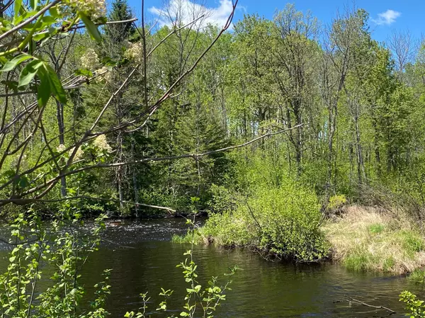 Kalevala Twp, MN 55757,XXXX Minkkinen Rd