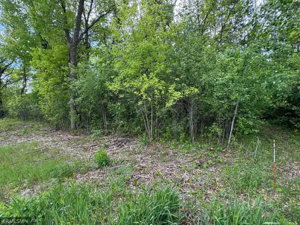 Mora, MN 55051,TBD Walnut ST S