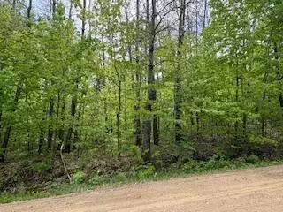 Garrison, MN 56450,Lots 5-10 Mid Iron