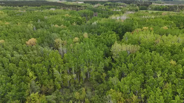Willow River, MN 55795,35665 Cr-43