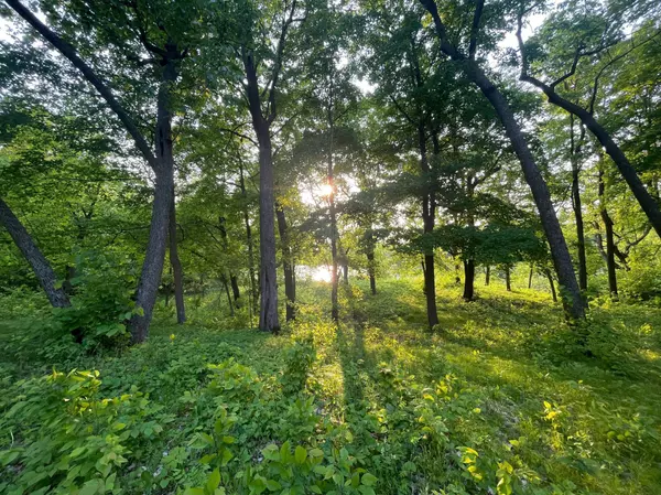 Evansville, MN 56326,15988 Solitude CT NW
