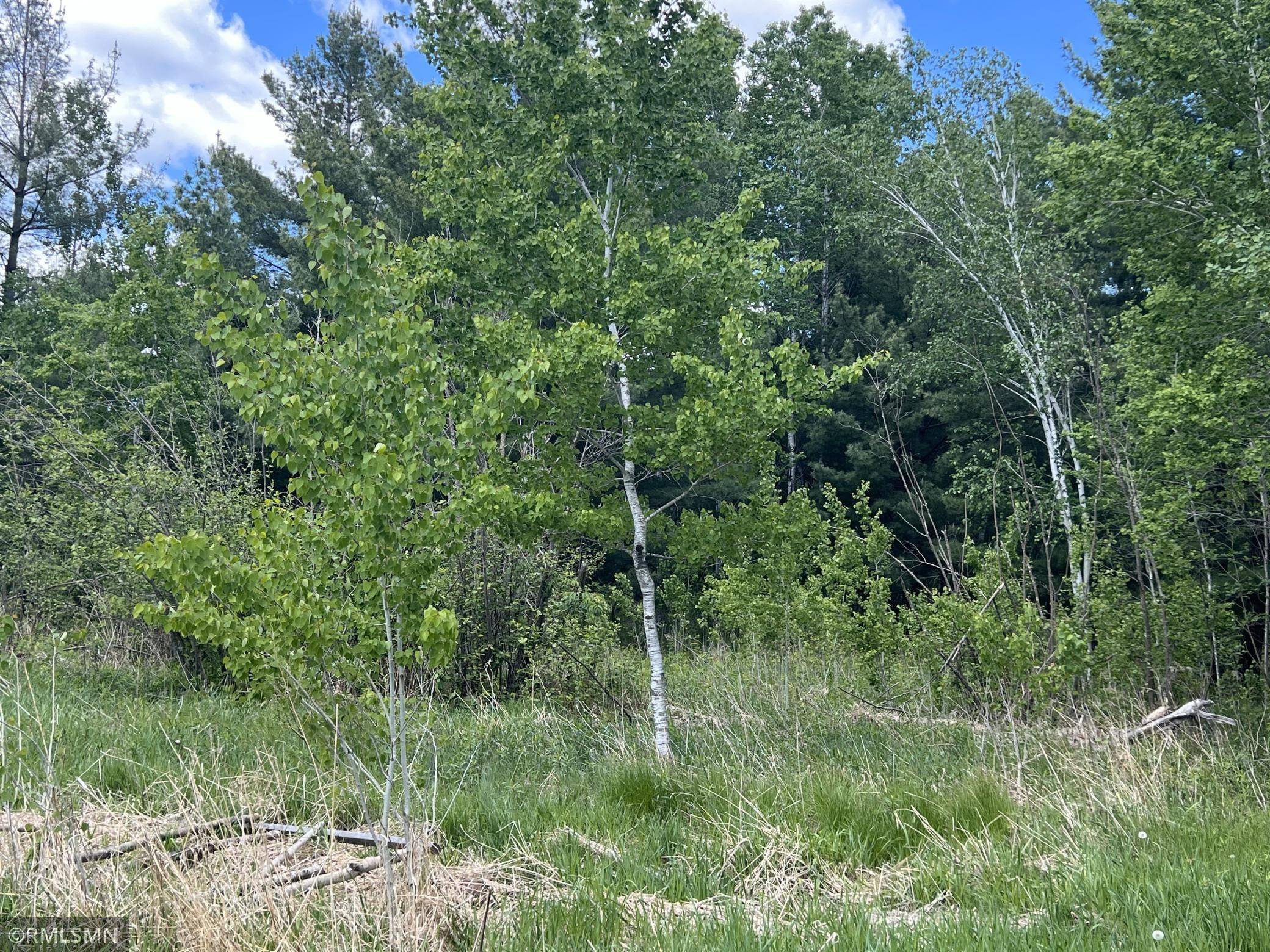 Grasston, MN 55030,3899 Meadow Lark Curve