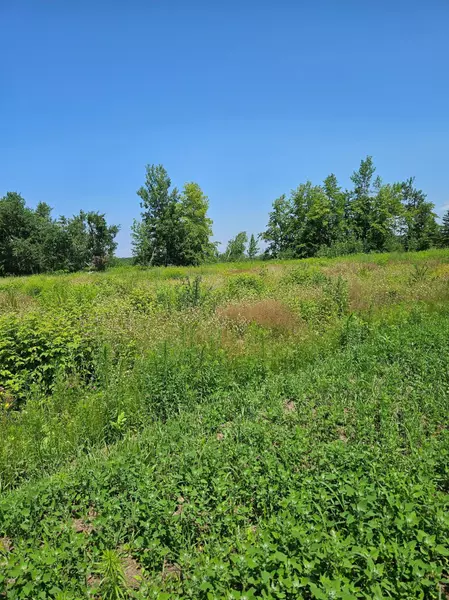 tbd Hooper Creek Loop, Baudette, MN 56623