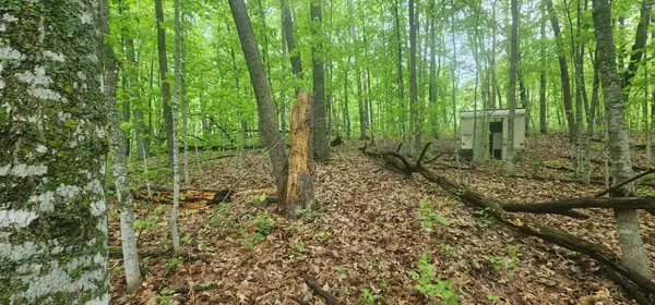 Kathio Twp, MN 56450,XXXXX Journeys end