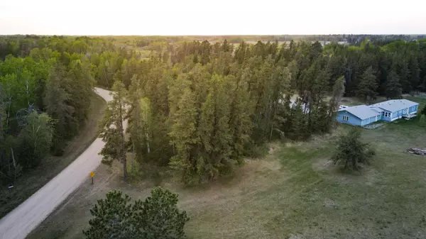 Eckles Twp, MN 56601,TBD1 Birdsview LN NW