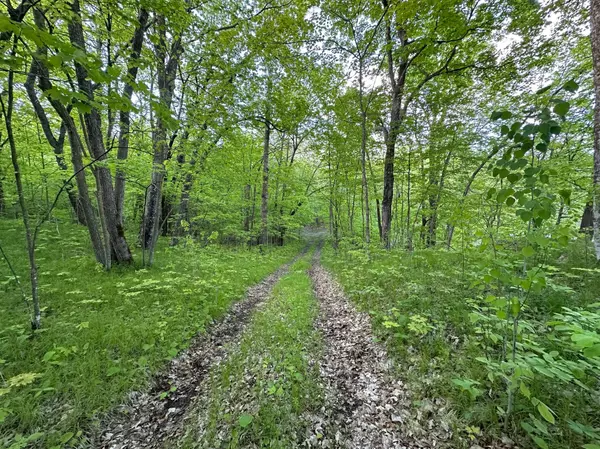 Shell Lake Twp, MN 56570,44698 Idas RD