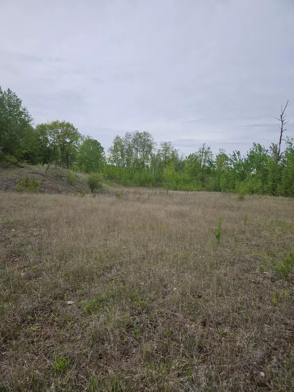 Hazelton Twp, MN 56431,TBD 425 PL