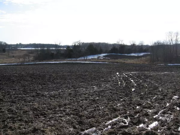 Wells Twp, MN 55021,15XXX Shieldsville Blvd