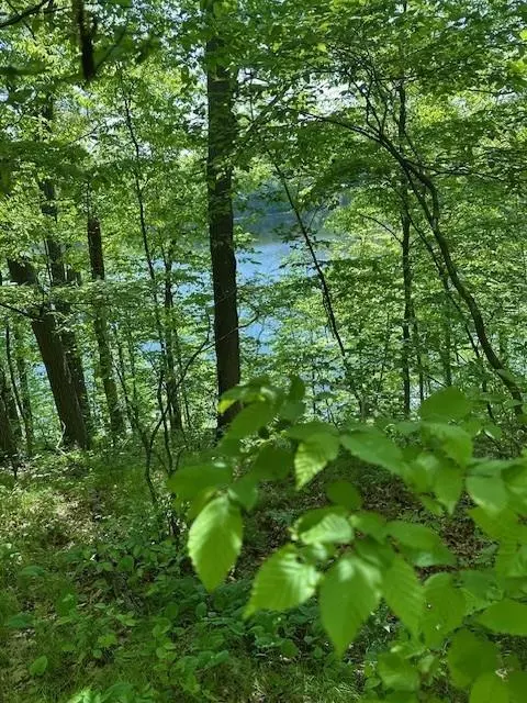 Bone Lake Twp, WI 54853,Lot 5 64th ST