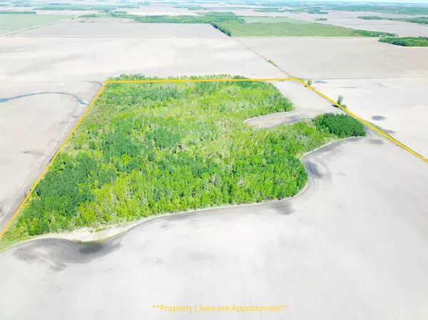 Strathcona, MN 56759,TBD 110th ST