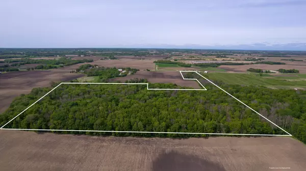 Bridgewater Twp, MN 55057,TBD Hwy 19 / Lonsdale Blvd E / 330th St W Lonsdale Blvd E BLVD E