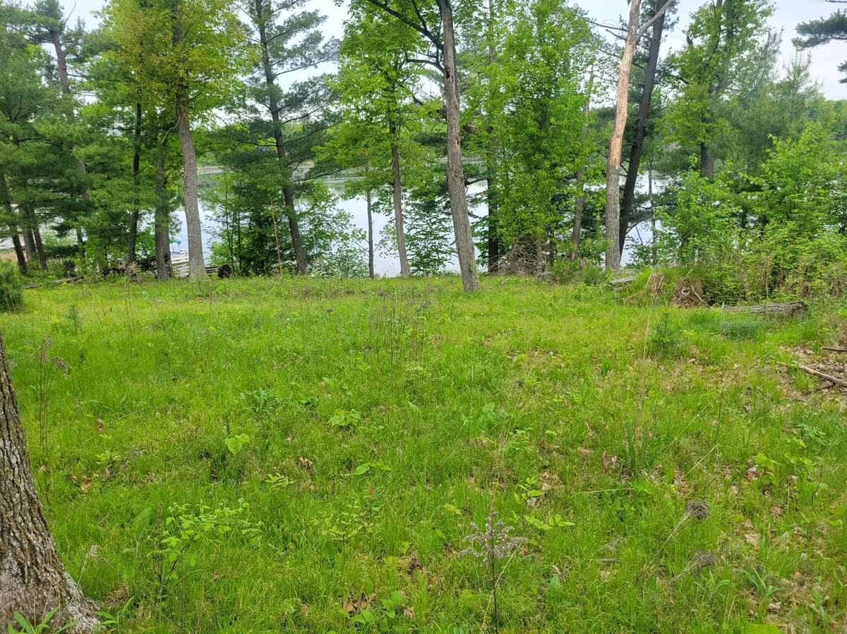 Apple River Twp, WI 54810,1737 E White Ash LN