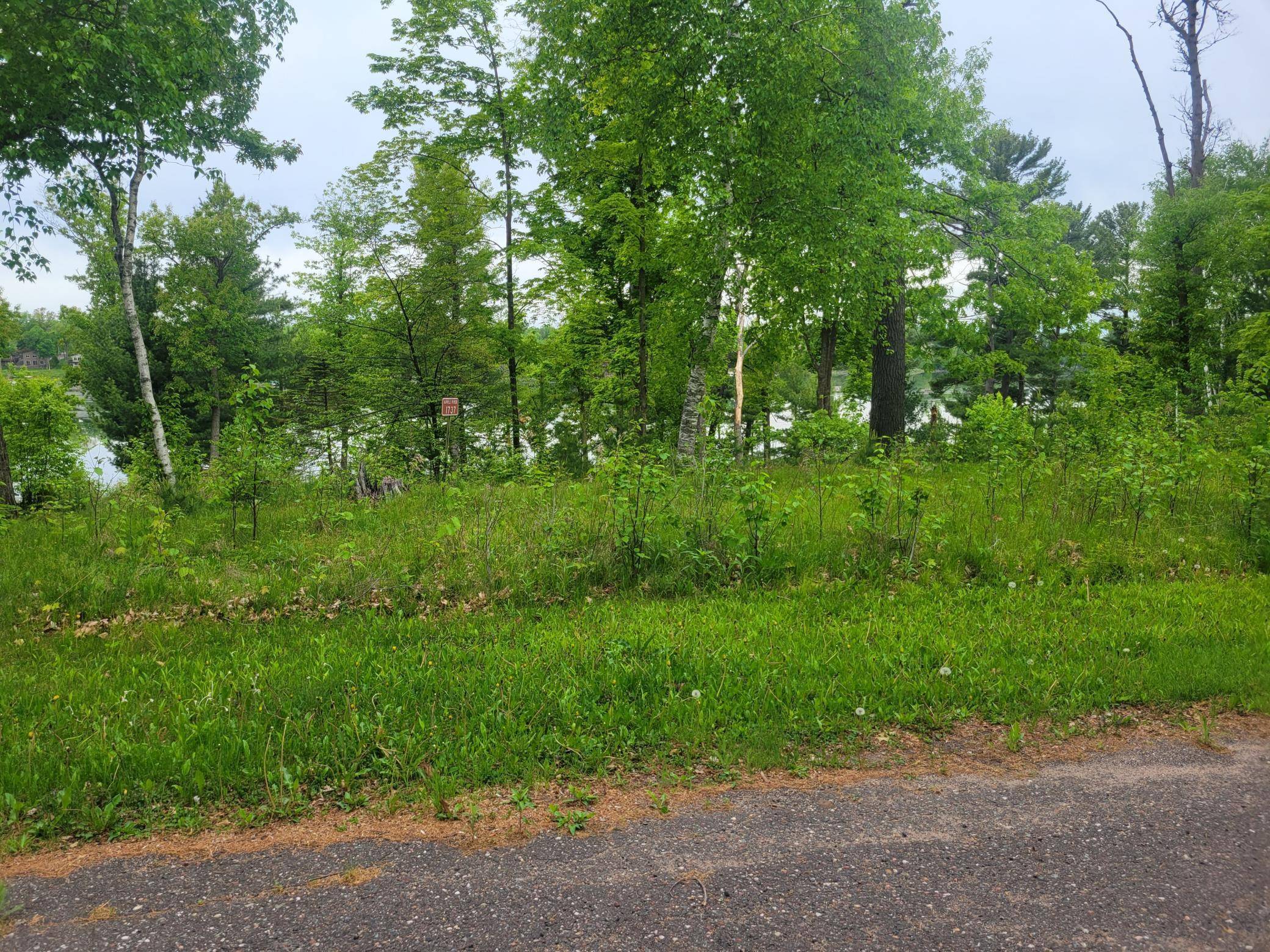 Apple River Twp, WI 54810,1737 E White Ash LN
