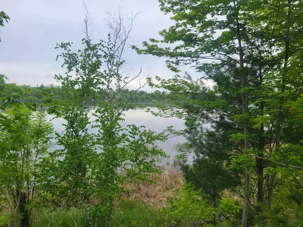 Apple River Twp, WI 54810,1737 E White Ash LN