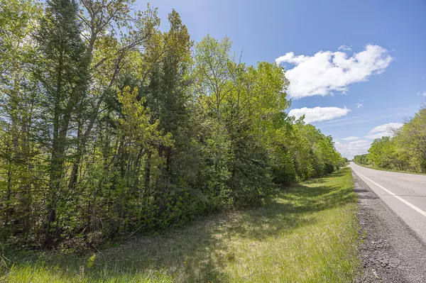 Remer, MN 56672,TBD State Hwy 6