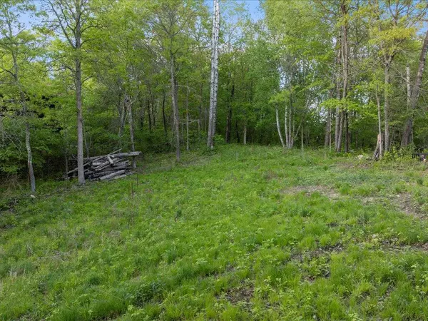 Breezy Point, MN 56472,TBD Eagle Lane
