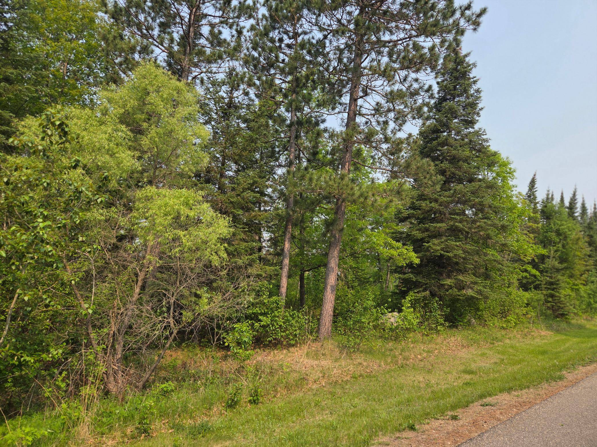 Bemidji Twp, MN 56601,TBD Graycalm CT SE
