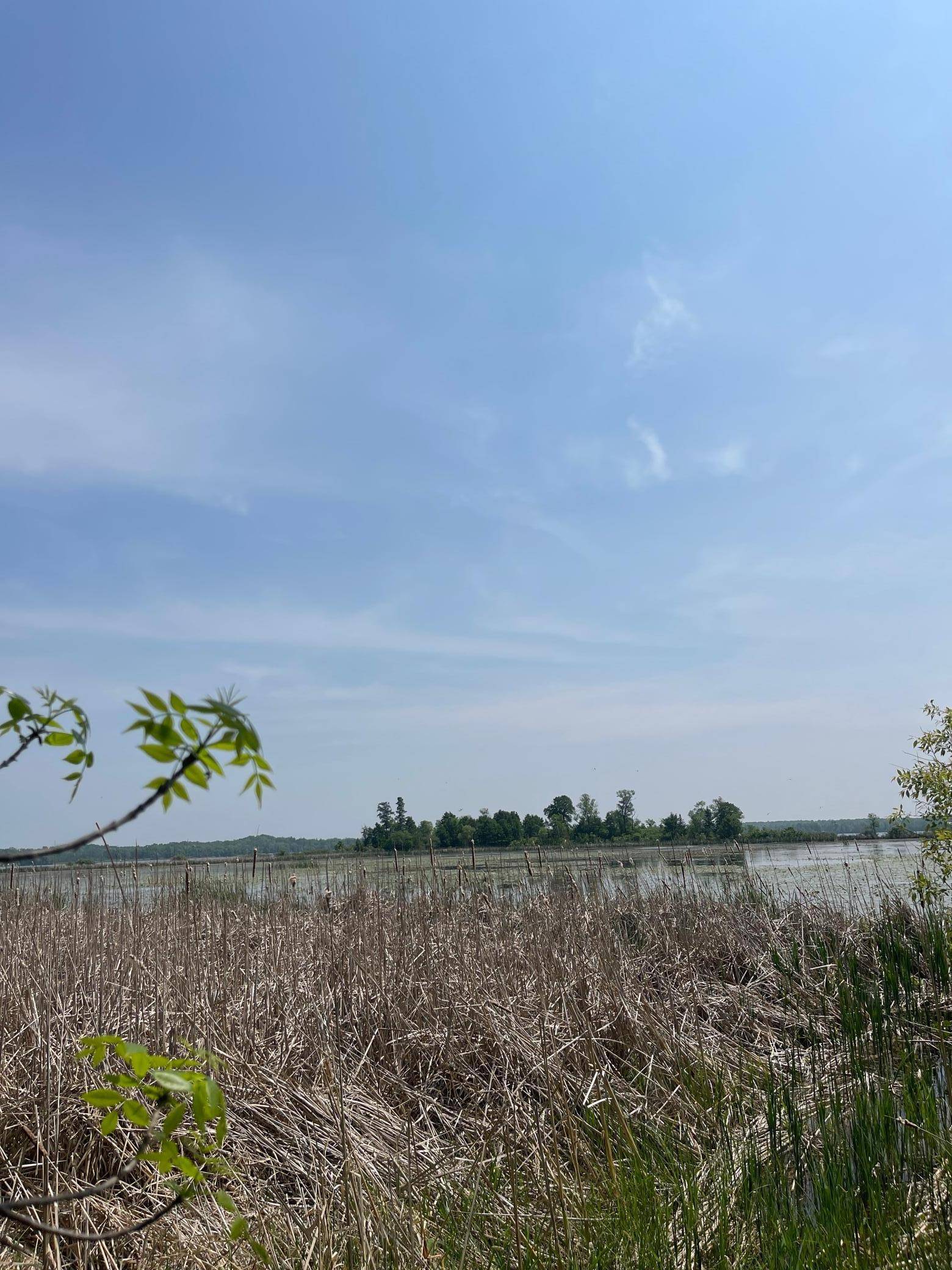 Osage, MN 56570,21xxx W Toad Lake DR