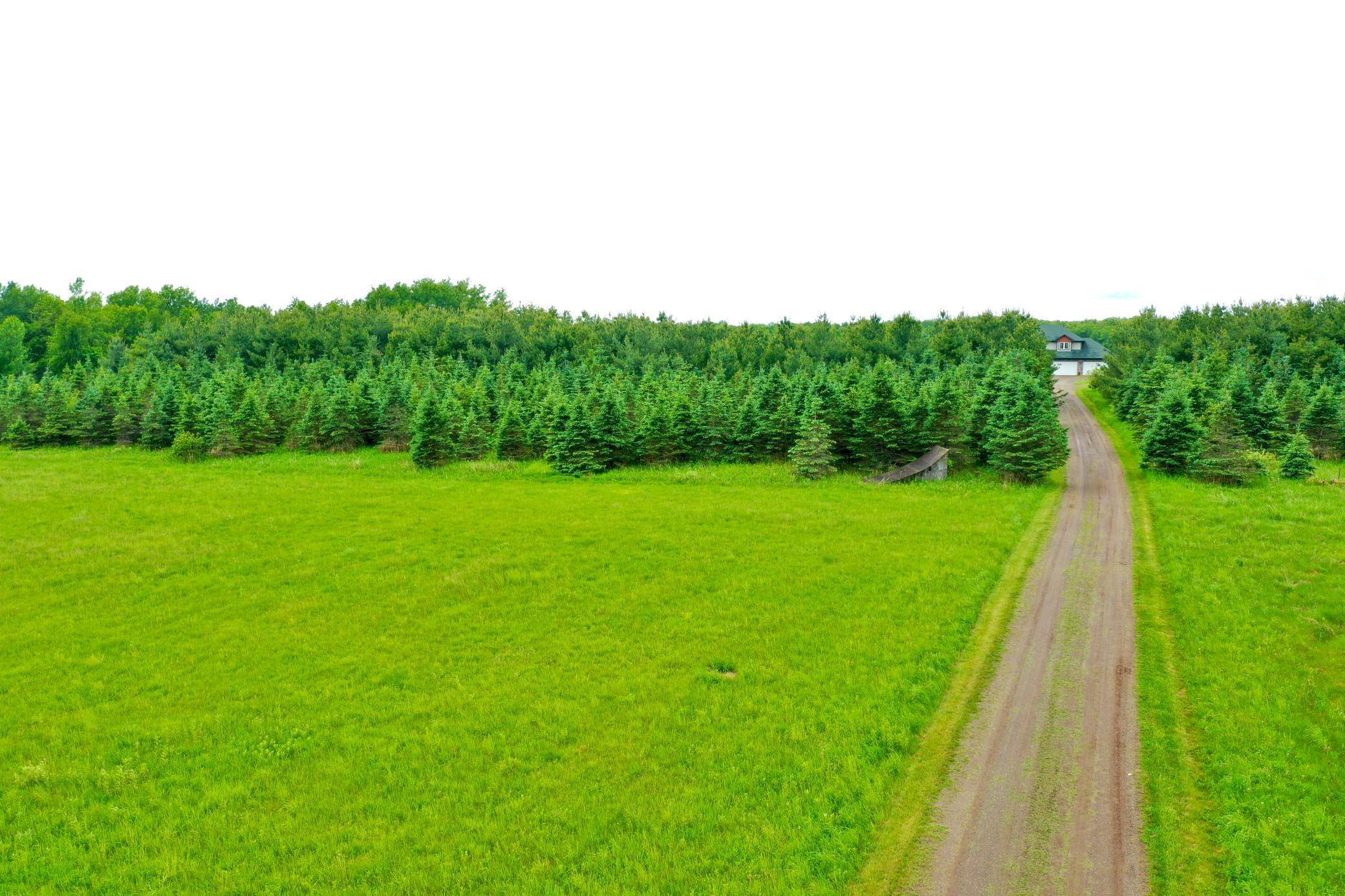 Whited Twp, MN 55007,2655 Quail ST