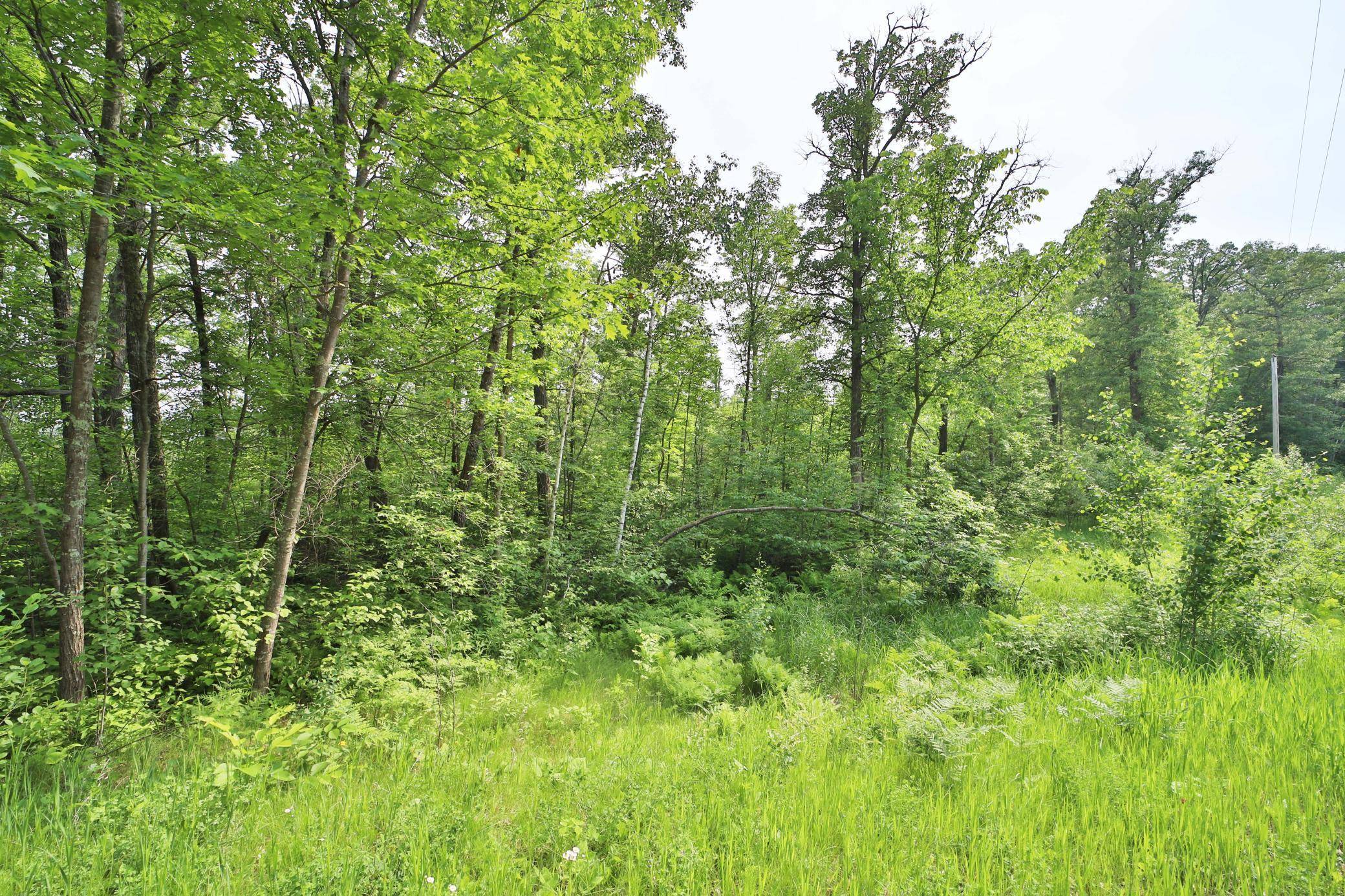 Garrison, MN 56450,TBD Cypress LN