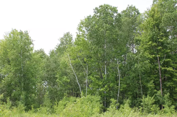 Munch Twp, MN 55063,Address not disclosed