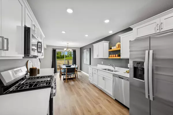 Montrose, MN 55363,2008 Apple LN