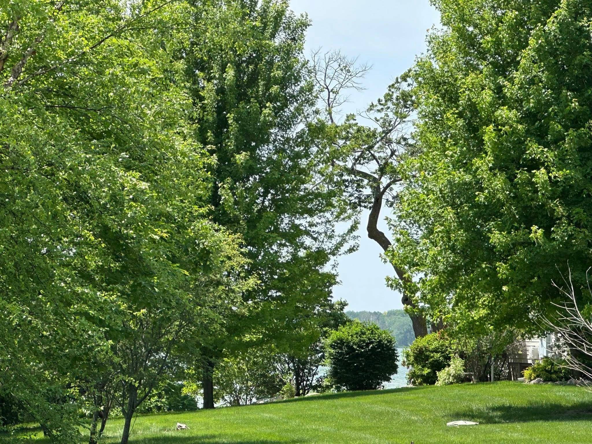 Madison Lake, MN 56063,29172 Biehn DR