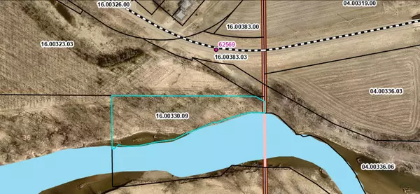 West Albany Twp, MN 55945,XXX XXXX