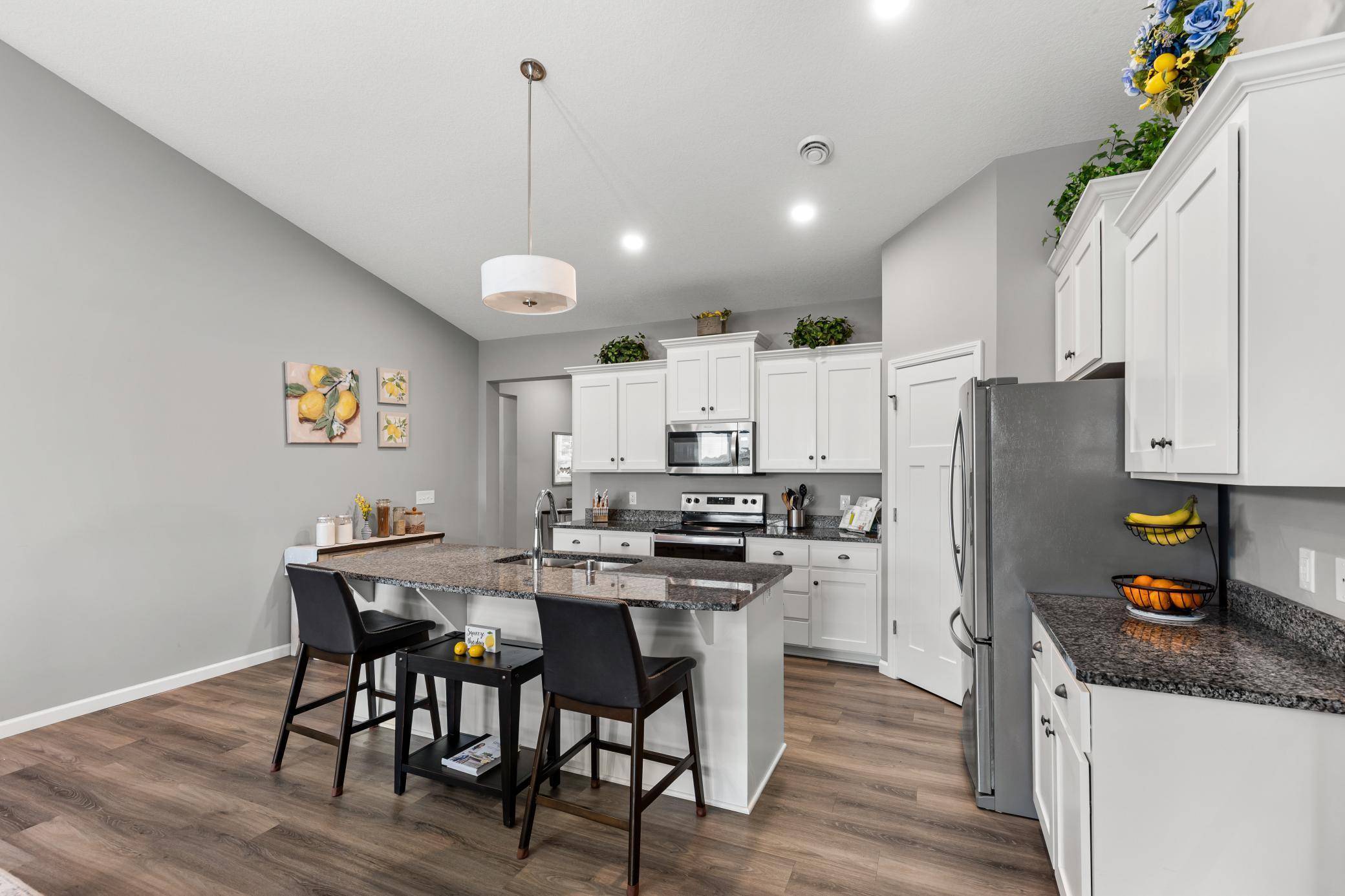 Ramsey, MN 55303,14964 Tiger ST NW