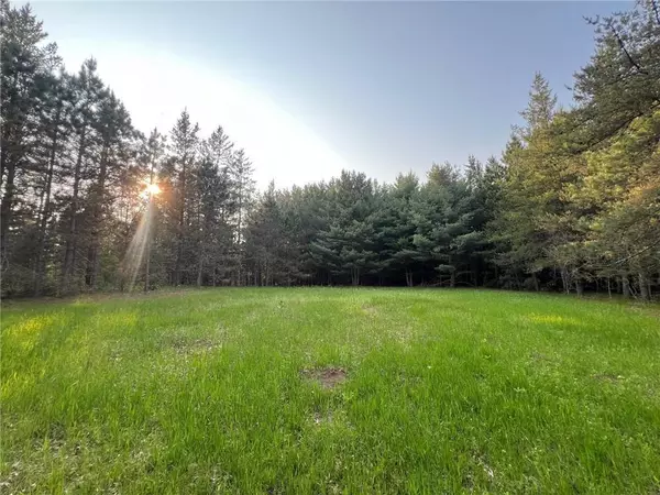 xxxxx Galesky RD,  Grantsburg Twp,  WI 54840