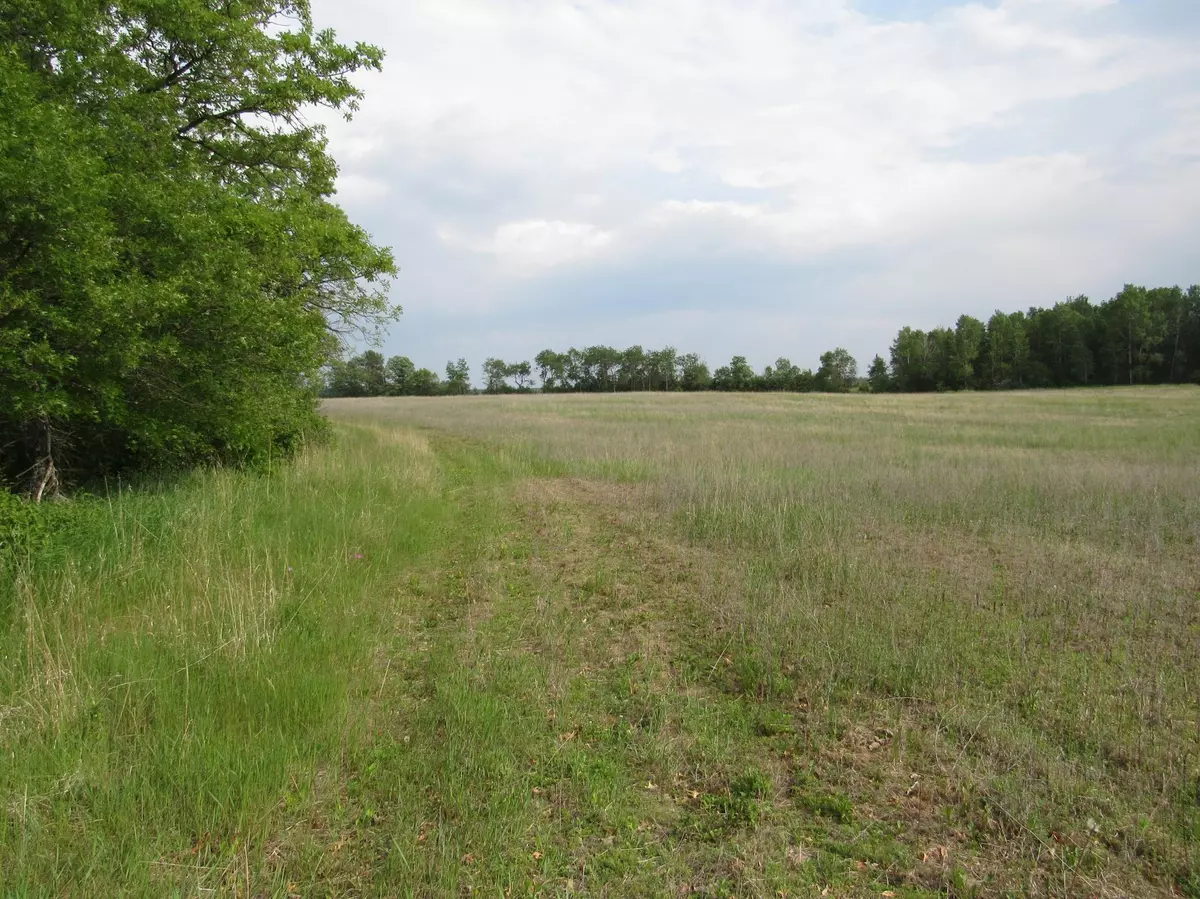 Backus, MN 56435,TBD PARCEL 12 32ND AVE SW