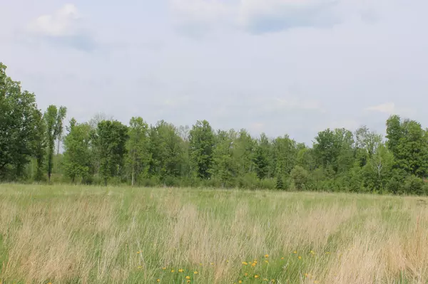 Feeley Twp, MN 55793,TBD Feeley 3