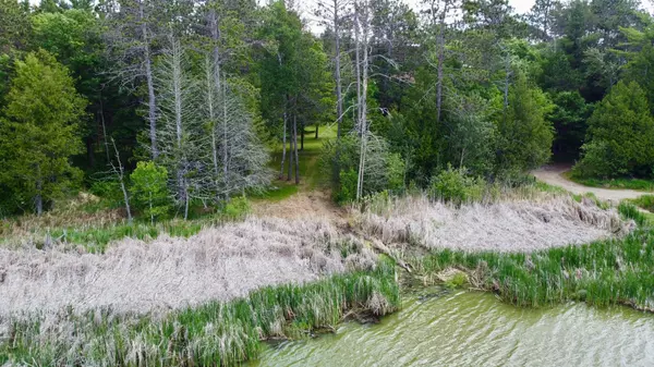 Grand Rapids, MN 55744,TBD Little Cowhorn Public Access Rd.