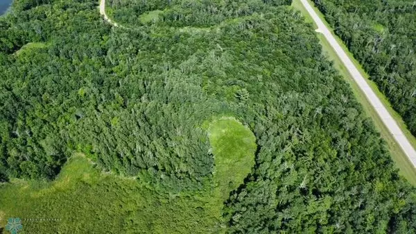 Little Elbow Twp, MN 56589,(Lot 6) TBD Ponderosa LN